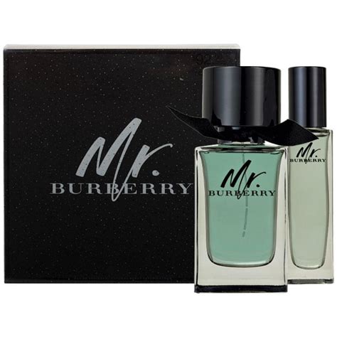 mr burberry 100ml womens|where to buy Burberry her.